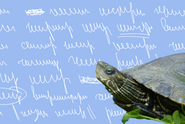 Mauremys blog
