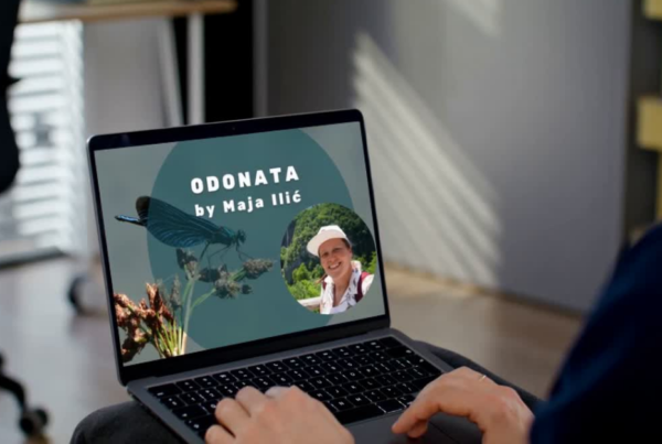 Maja predavanje mockup na laptopu